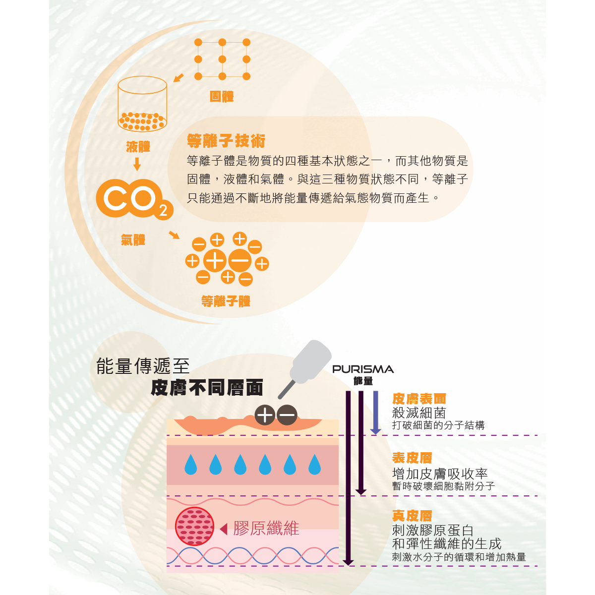 PURISMA 等離子眼瞼無痕懸吊:圖片 3